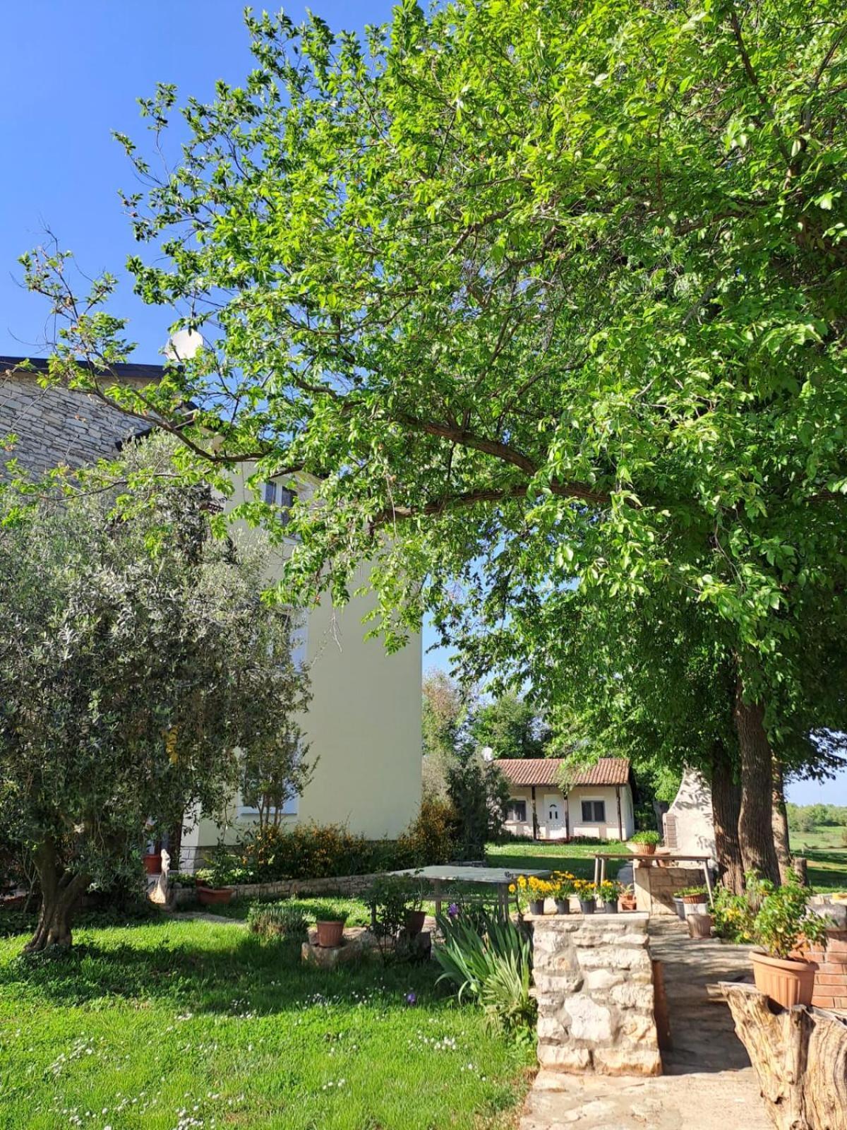 Marijana Holiday home *