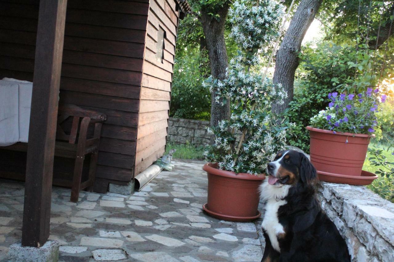 Marijana Holiday home